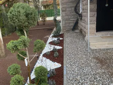 Çukurhisar Bitki Bakım