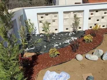 İnönü Fidan Alışı