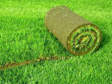 İnönü Rulo Çim Siparişi